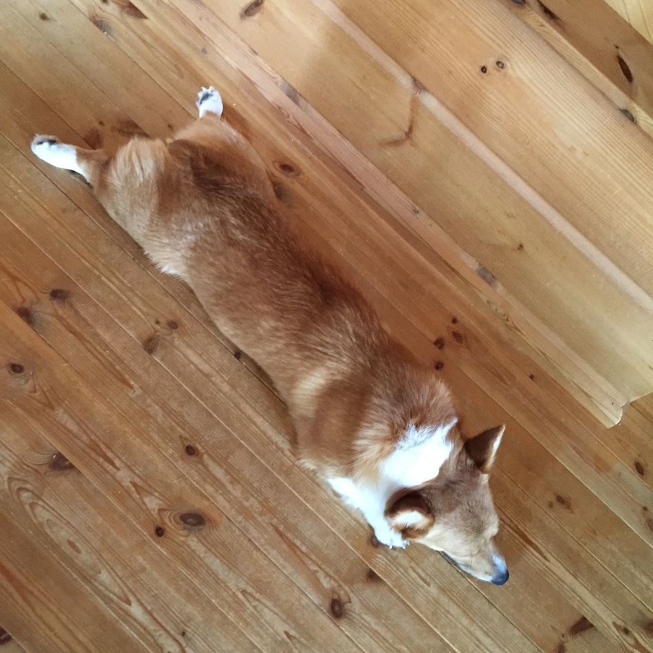 もなこのカバー写真