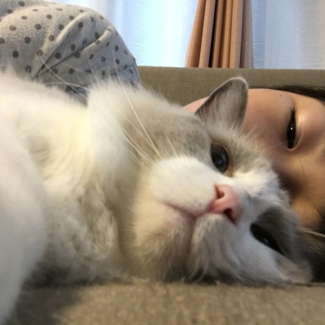 pearl whiteのカバー写真