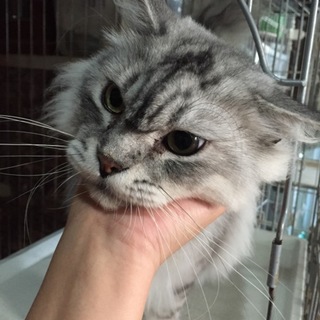 多頭飼い飼育現場の子です！