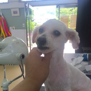 とても静かな子です。