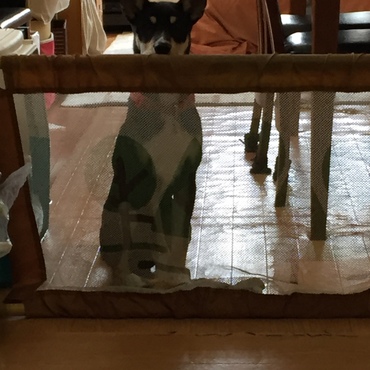 ご飯待ち。座っても見えることに気付いた^o^