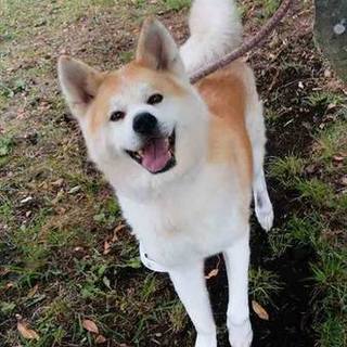 桜子に新しいご家族が決まりました！！