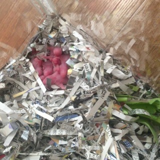 有難うございました