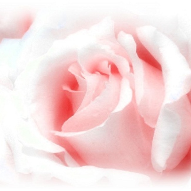 愛LOVEハッピー隊のカバー写真