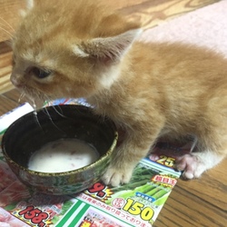 カビ感染の見分け方