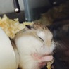 男の子特有の寝姿勢。