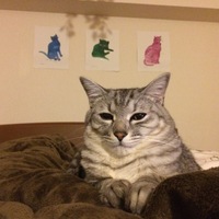 どんす