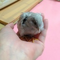 皆様 ご応募有難う御座いました。
