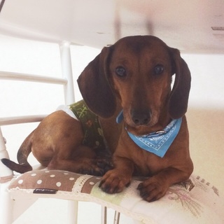 素敵な家族ができました、ありがとうございました！