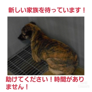 新しい家族が決まりました!!