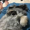 吉久保新