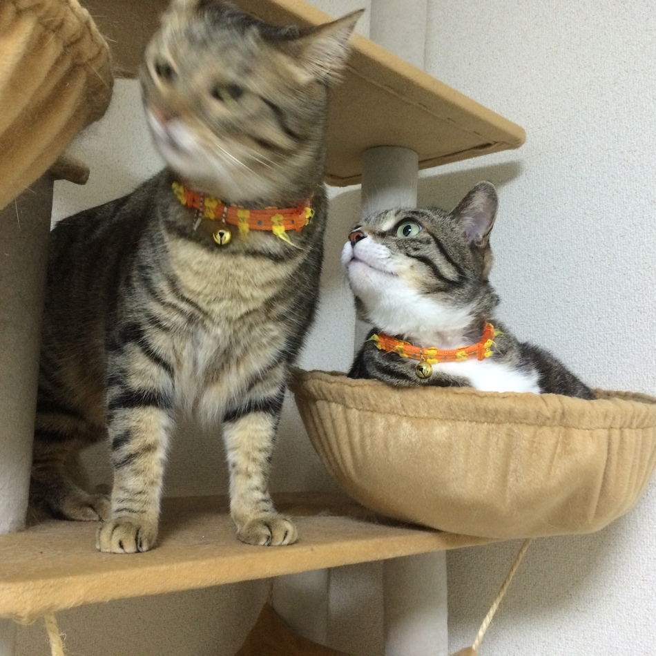 そらのカバー写真