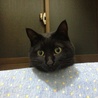 くろさん