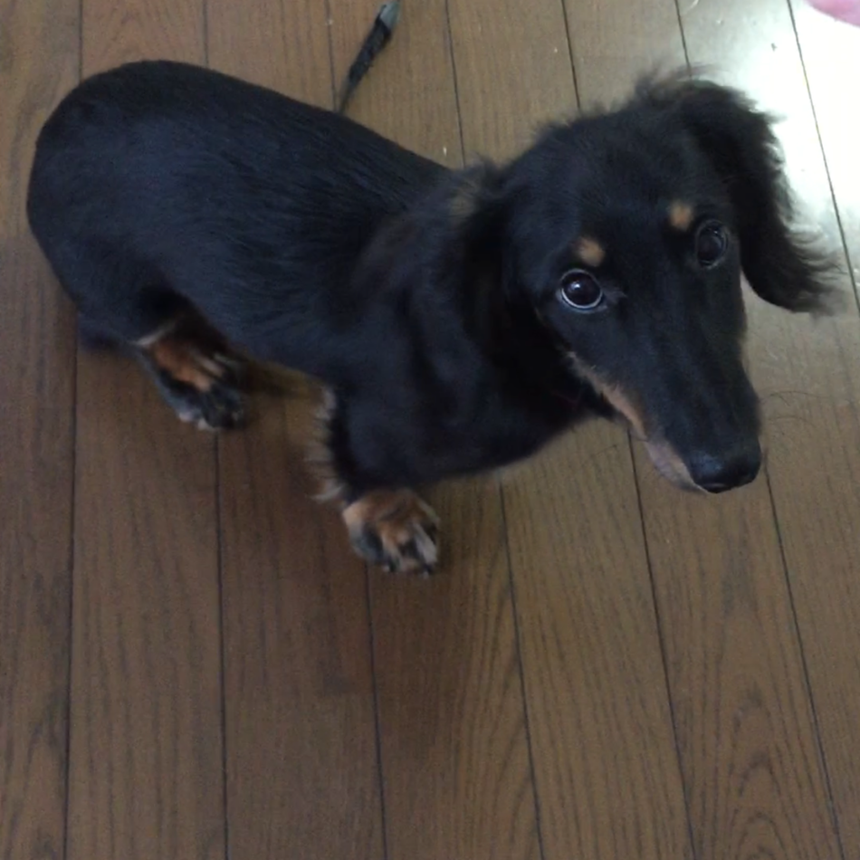 ヒカルのカバー写真