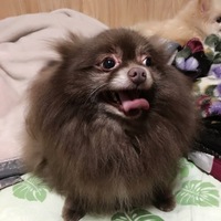 クリ