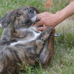 実は甘えん坊のマナちゃん