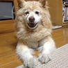 の写真
