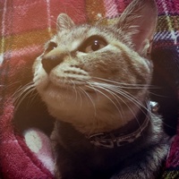 いち