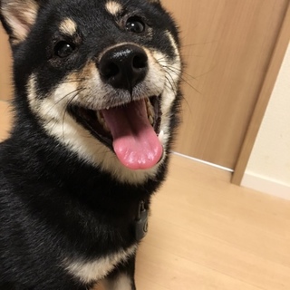 応募者多数につき、一旦募集終了とさせて頂きます。