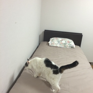 おびおびされておられる