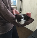 本当に小さいです。