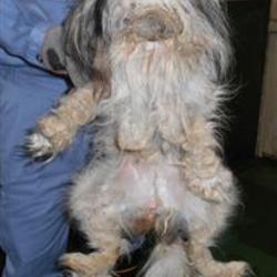 メイちゃんの過去