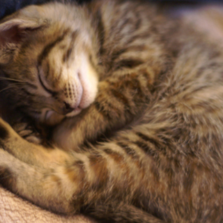 今がＭＡＸ可愛い