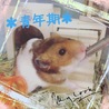 里親さん募集です！☆ サムネイル2