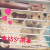 里親さん募集です！☆ サムネイル4