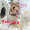 里親さん募集です！☆ サムネイル5