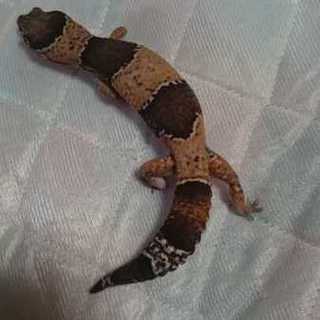 【解決致しましたありがとうございます