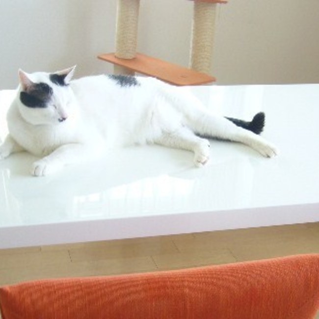 chikapyonのカバー写真