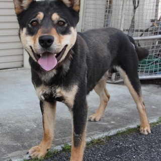 人が大好き！ごもく君‼！