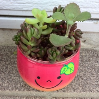 ありがとうございました。