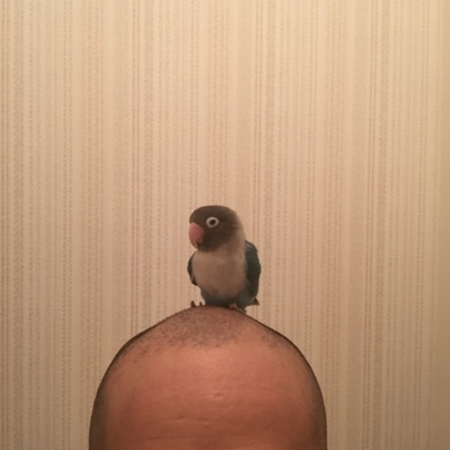 ルベンゴメスのカバー写真