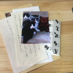 仮親さんからのご連絡