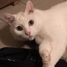 ミルキーありがと