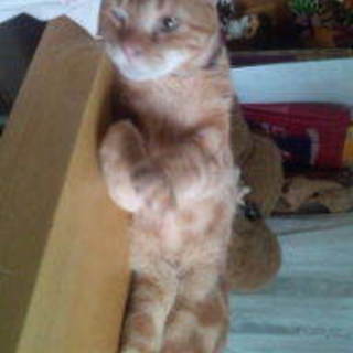 一時停止❗片目の甘えん坊❤あー君