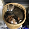 仲良し