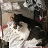 仲良し パート２