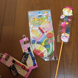 買っちゃいました〜！