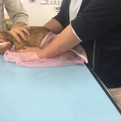 今日も病院・・・