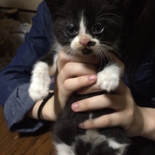 ありがとうございます！誠実な方に決まりました！