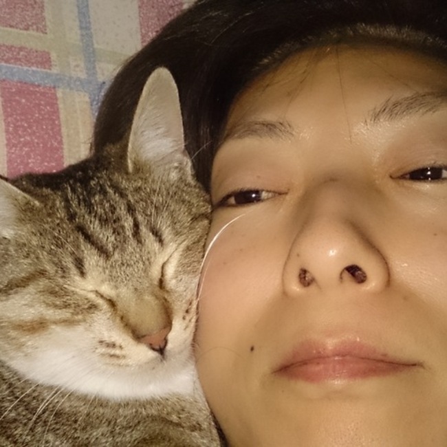 たみこみこのカバー写真