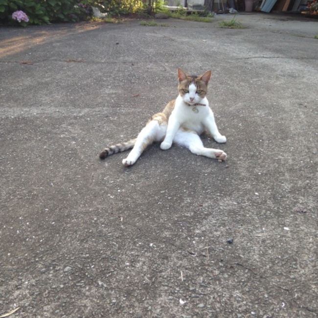ほりた家のカバー写真