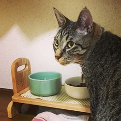 いろんな人間がいるもんですね