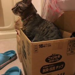 「いろんな人間がいるもんですね」サムネイル2