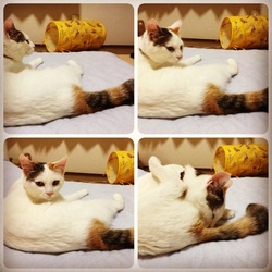 「いろんな人間がいるもんですね」サムネイル3