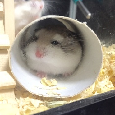 お気に入りの場所。