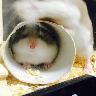 躍動感！